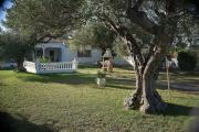 Villa with great garden and pool