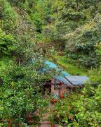 Top Nainital