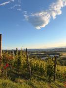 Top Barbaresco