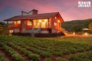 Top Mahabaleshwar