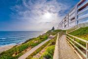 Top Algarrobo
