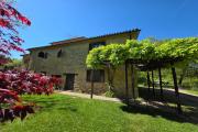 Top Montone