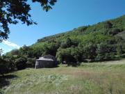 faggio rotondo - natura autentica