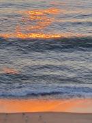 Top Carolina Beach