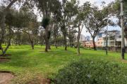 Top Lima
