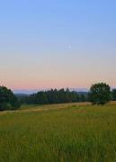 Top Maciejowiec
