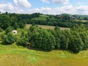 Top Maciejowiec