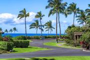 Top Waikoloa