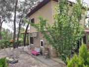 Top Fethiye