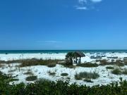 Top Siesta Key