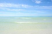 Top Siesta Key Top Siesta Key