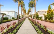 Top Rosemary Beach