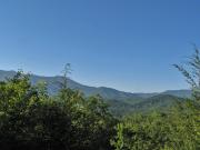 Top Gatlinburg