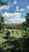 Top Paraíso