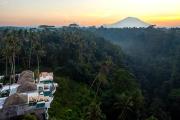 Top Ubud