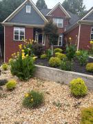 Top Braselton