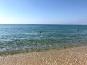 Top Hammamet Nord Top Hammamet Nord