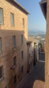 Top Urbino