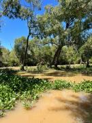 Casa quinta con pileta y río privado, ideal grupos a 60km de CABA