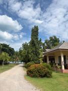 Top Ban Phang Phrao