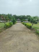 Top Mortakka