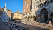 Top Cremona