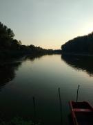 Top Kupusina