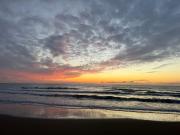 Top Viareggio