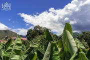 Top Oxapampa