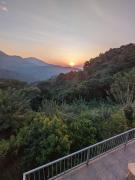 Butterfly Nest Ella