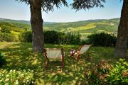 Top Radda in Chianti