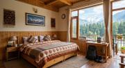 Top Manali