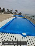 Top Paracas