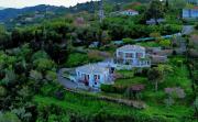 Top Skopelos Town