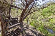 Top Wimberley