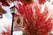 Top Hahndorf
