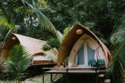 Rừng Cafe & Glamping