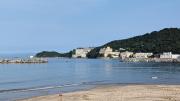 Top Wakayama