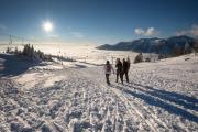 Top Vransko
