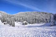 Top Vransko