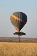 Top Nairobi