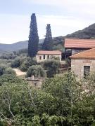 Top Sarti