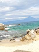 Top Sarti