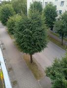 Jurmala apartment