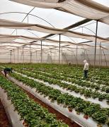 Top Panchgani