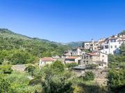 Top Pantasina