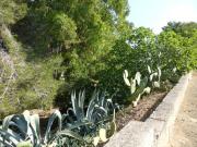Top Torre Vado