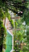 Top Noida