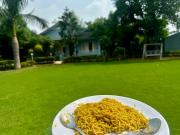 Top Noida