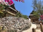 Top Zipolite